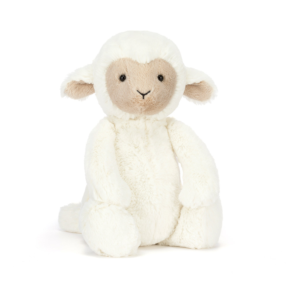 Bashful Lamb
